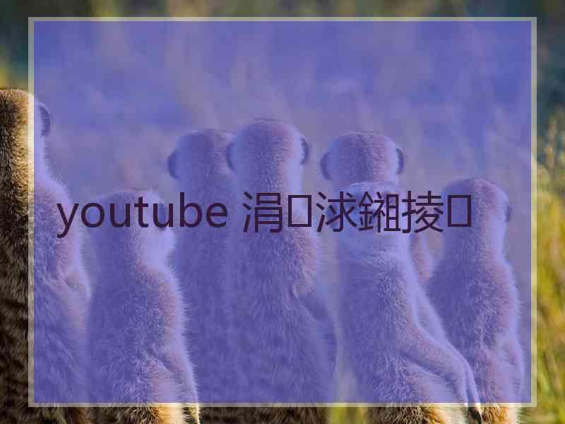 youtube 涓浗鎺掕