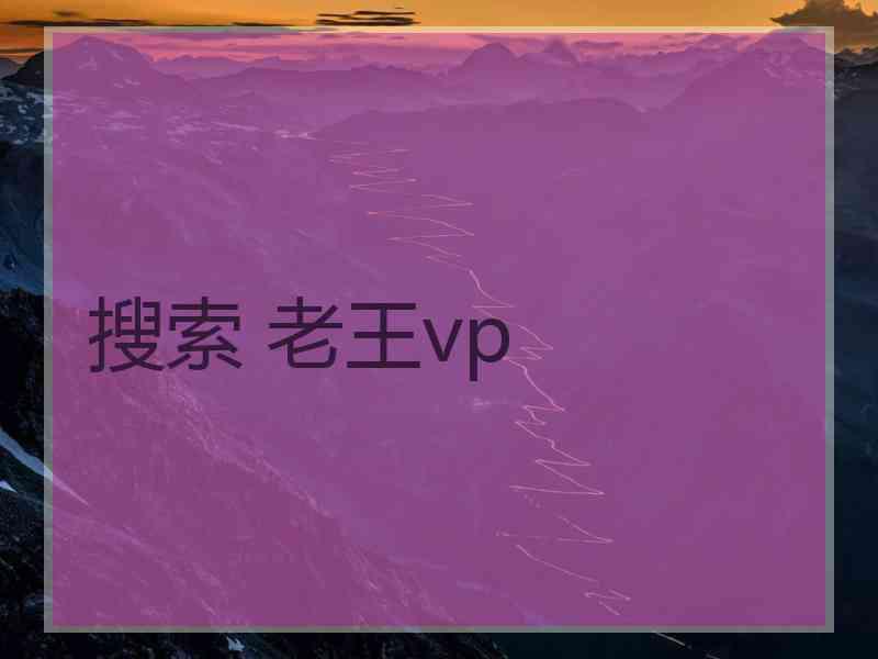 搜索 老王vp