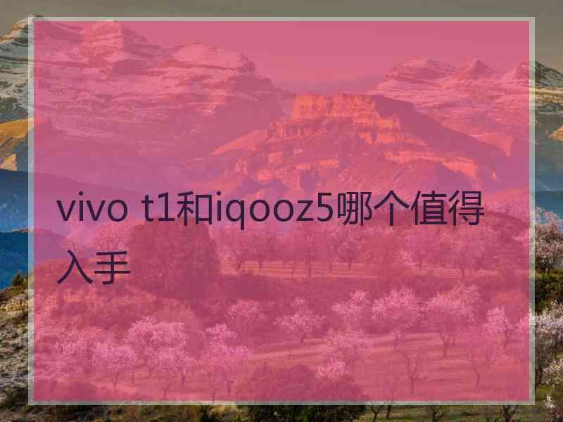 vivo t1和iqooz5哪个值得入手