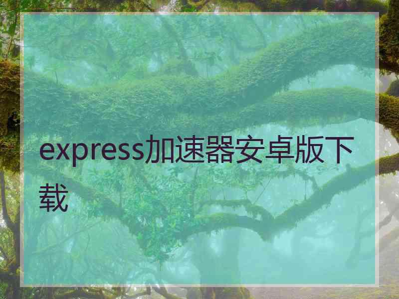 express加速器安卓版下载