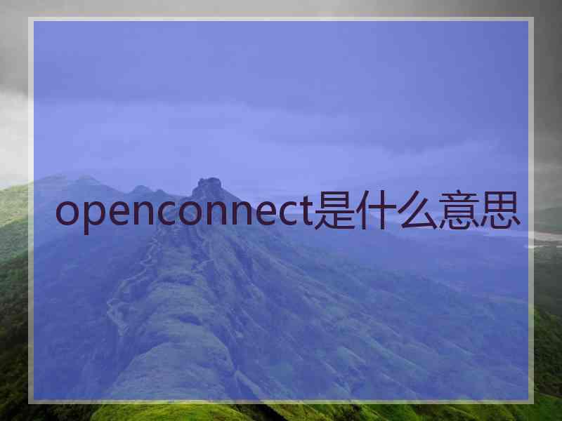 openconnect是什么意思