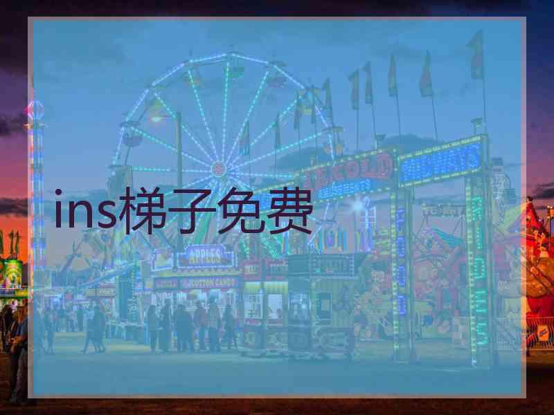 ins梯子免费