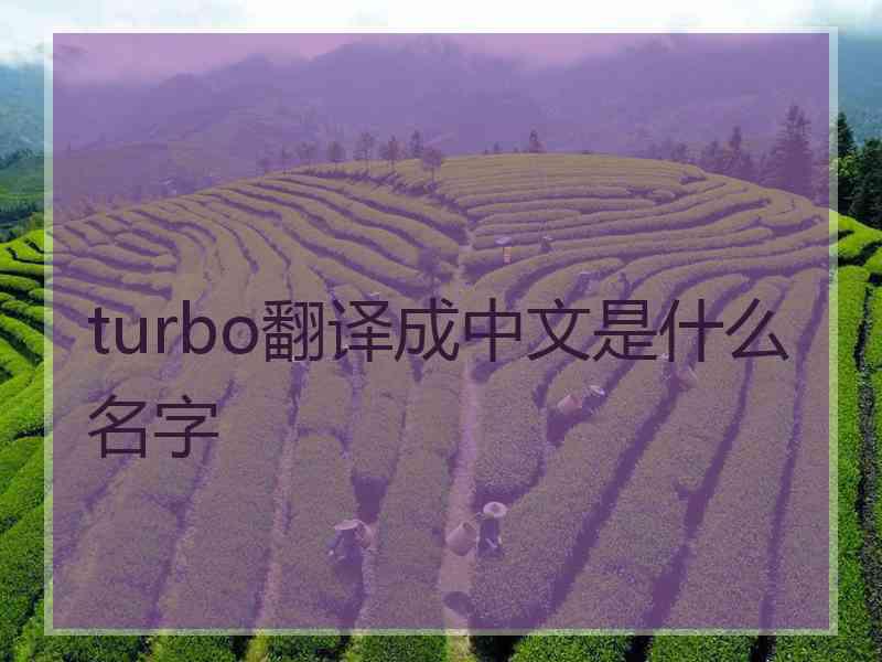 turbo翻译成中文是什么名字