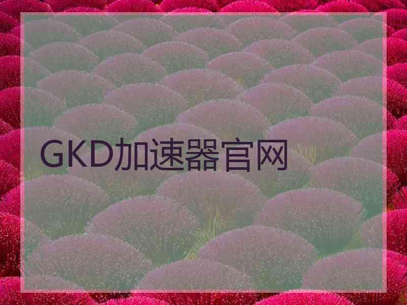 GKD加速器官网