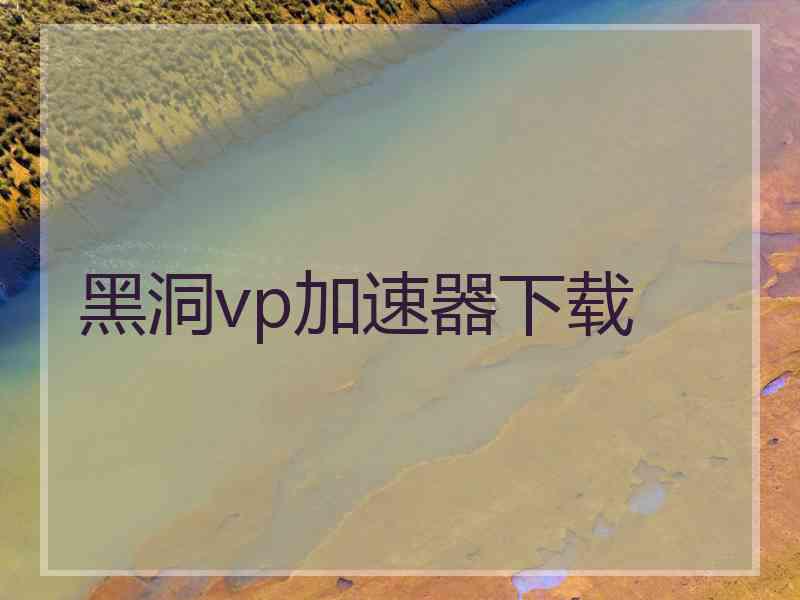 黑洞vp加速器下载