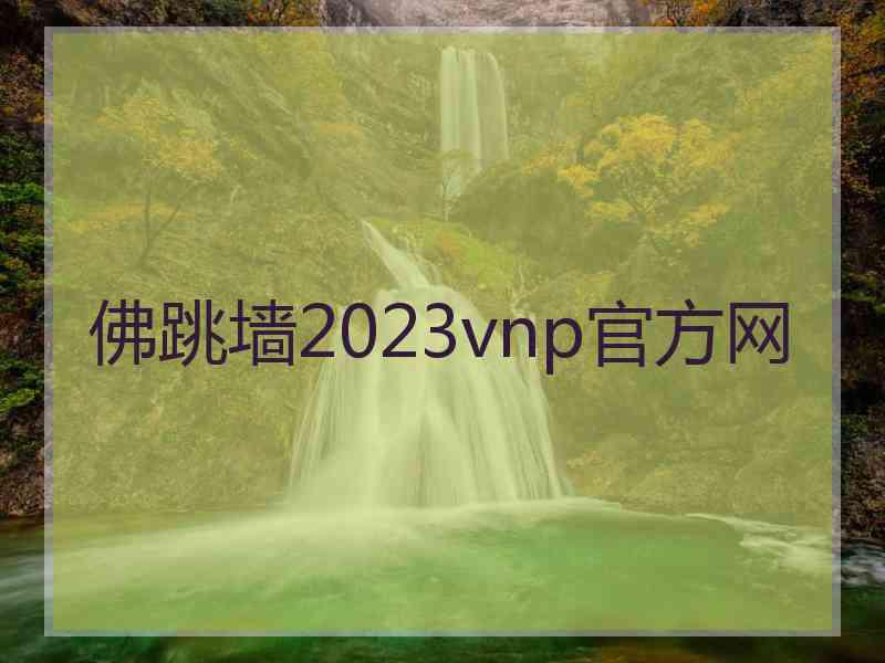 佛跳墙2023vnp官方网