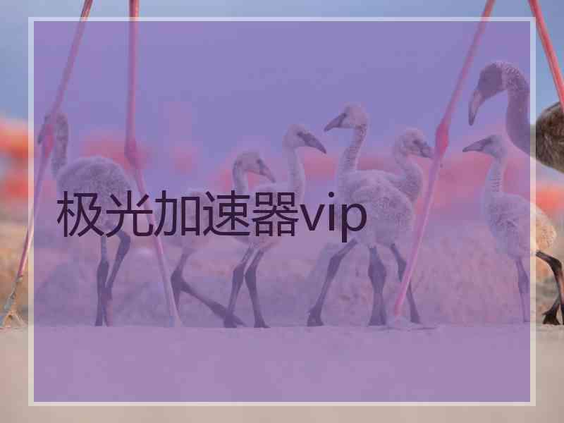 极光加速器vip