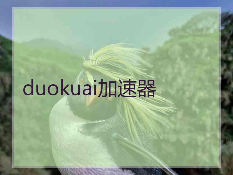 duokuai加速器