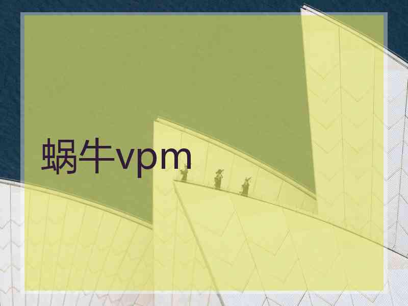 蜗牛vpm