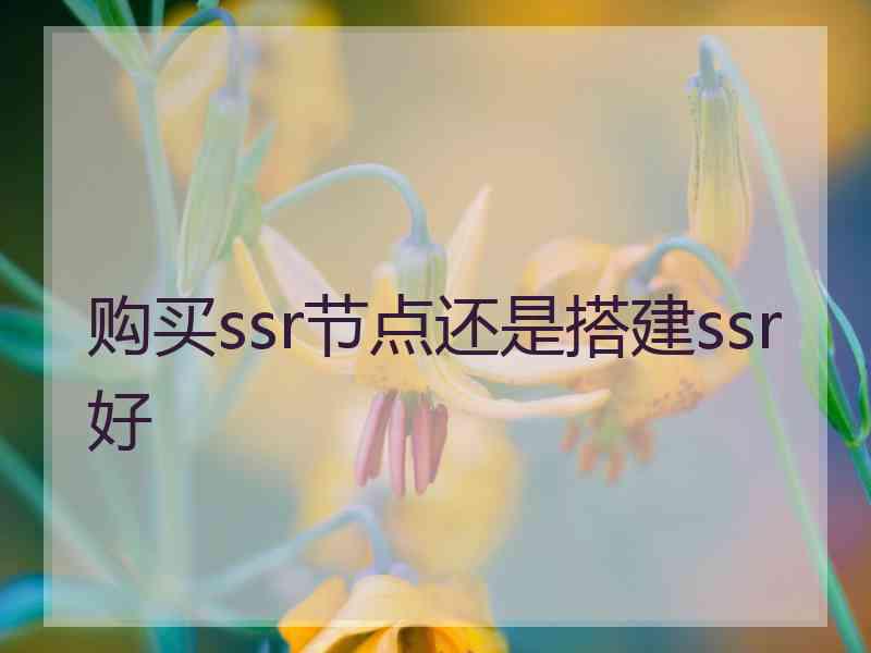 购买ssr节点还是搭建ssr好