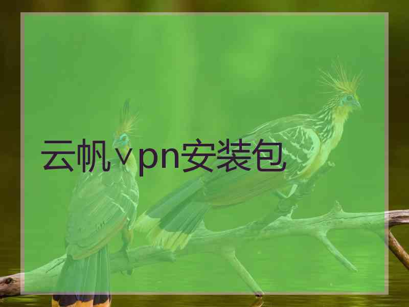 云帆∨pn安装包