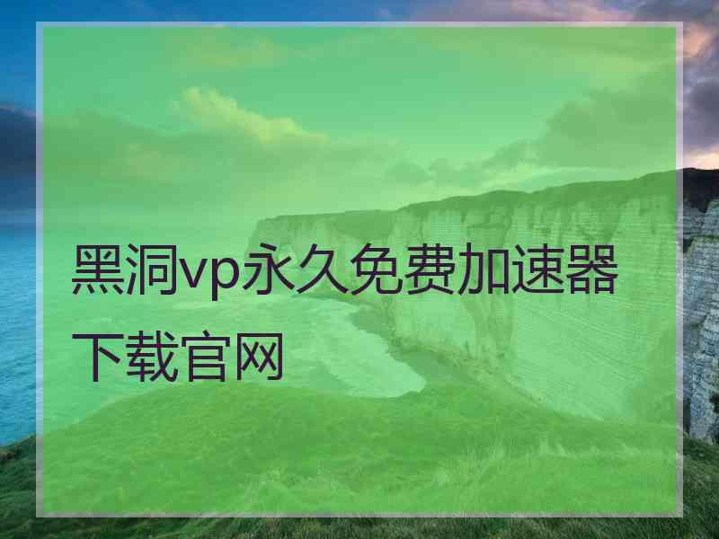 黑洞vp永久免费加速器下载官网