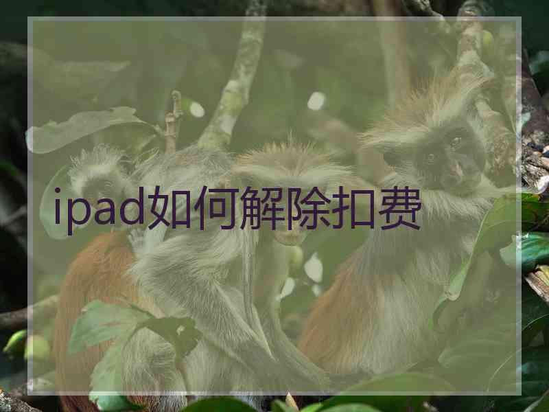 ipad如何解除扣费