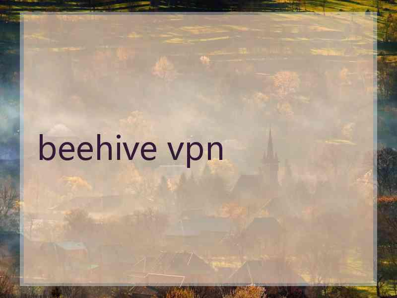 beehive vpn