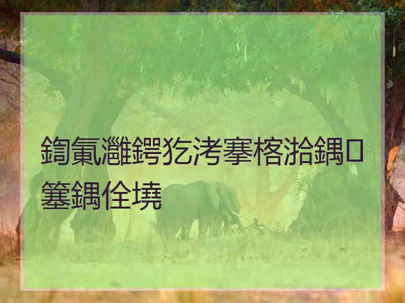 鍧氭灉鍔犵洘搴楁湁鍝簺鍝佺墝