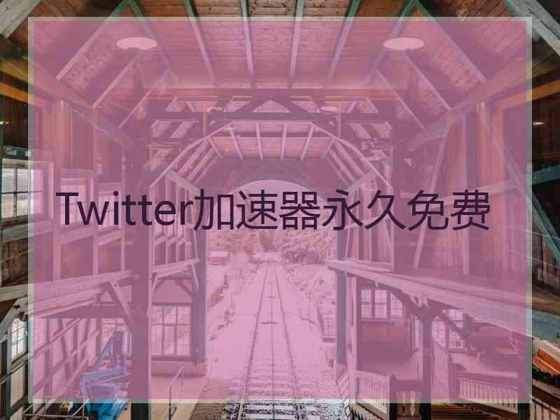 Twitter加速器永久免费