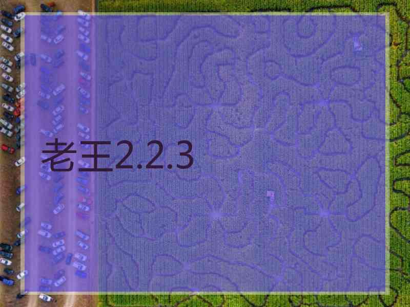 老王2.2.3