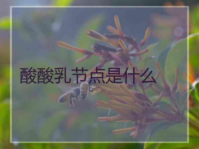 酸酸乳节点是什么