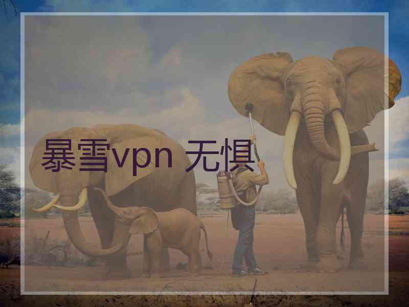 暴雪vpn 无惧