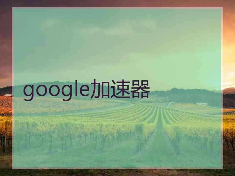 google加速器