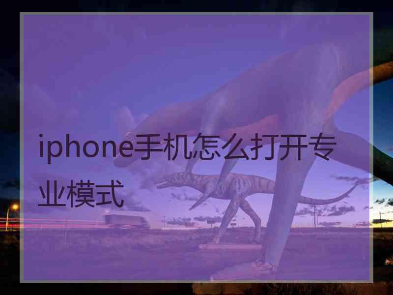 iphone手机怎么打开专业模式