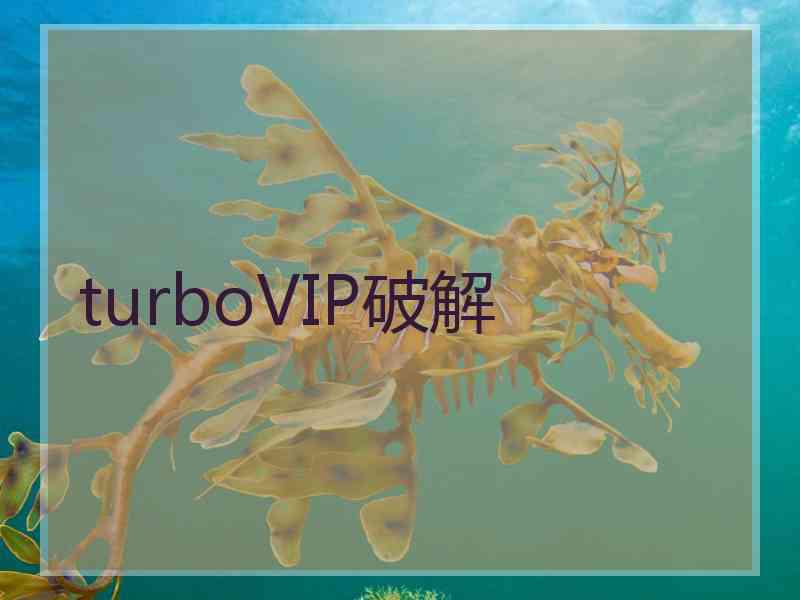 turboVIP破解