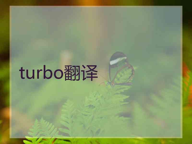 turbo翻译