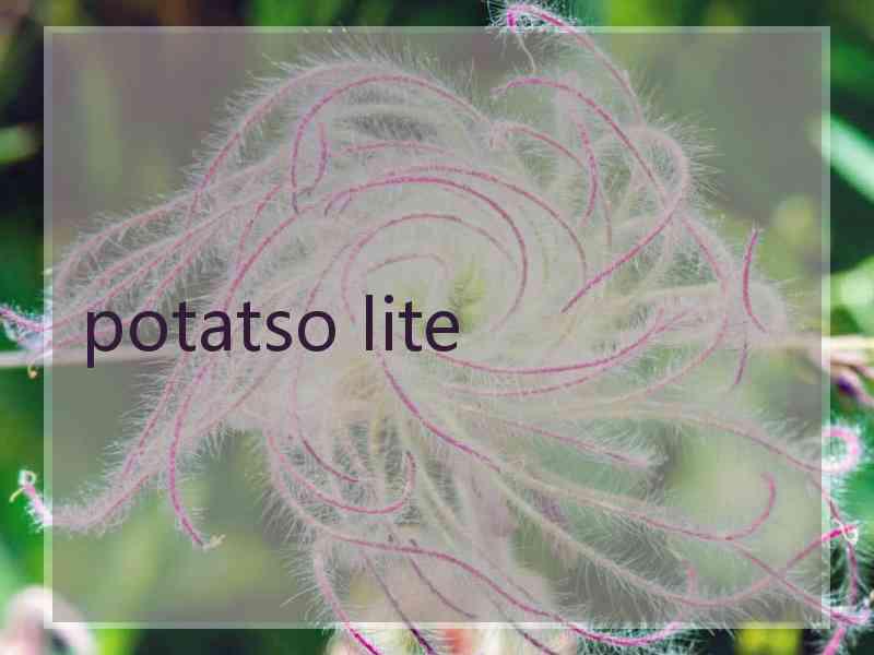 potatso lite