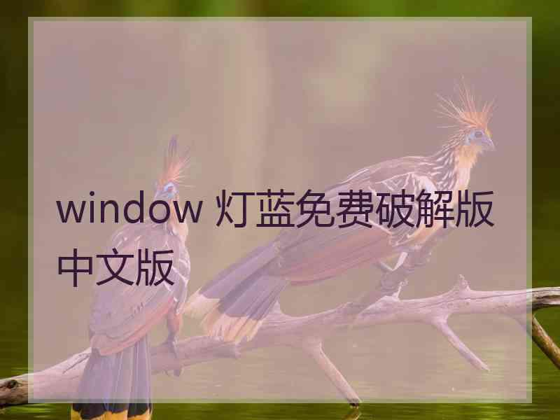 window 灯蓝免费破解版中文版