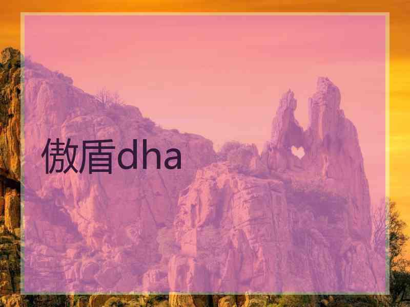 傲盾dha