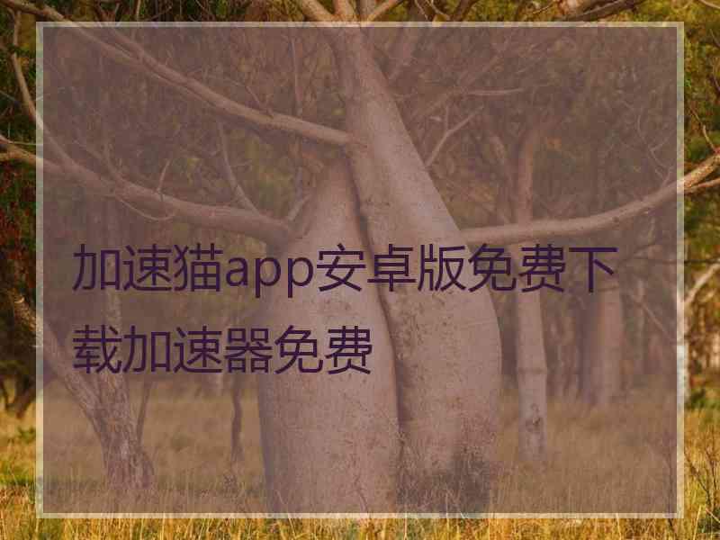 加速猫app安卓版免费下载加速器免费