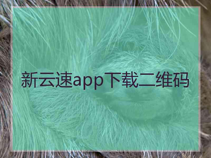 新云速app下载二维码