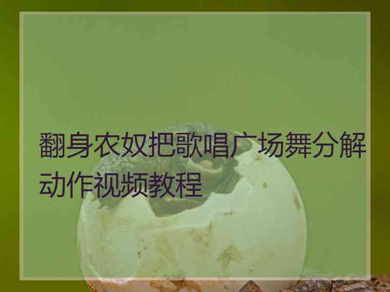 翻身农奴把歌唱广场舞分解动作视频教程