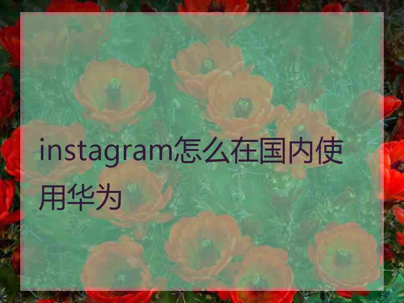 instagram怎么在国内使用华为