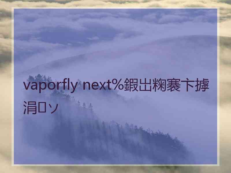 vaporfly next%鍜岀粷褰卞摢涓ソ