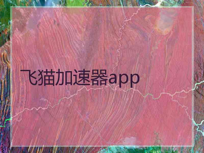 飞猫加速器app