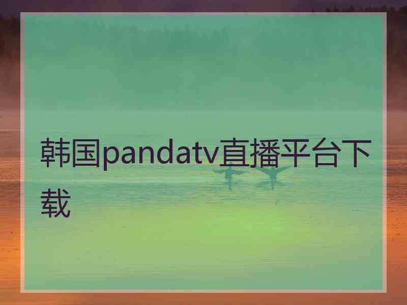 韩国pandatv直播平台下载