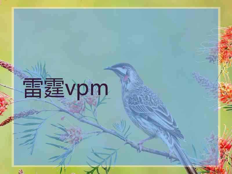 雷霆vpm