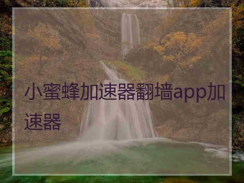 小蜜蜂加速器翻墙app加速器