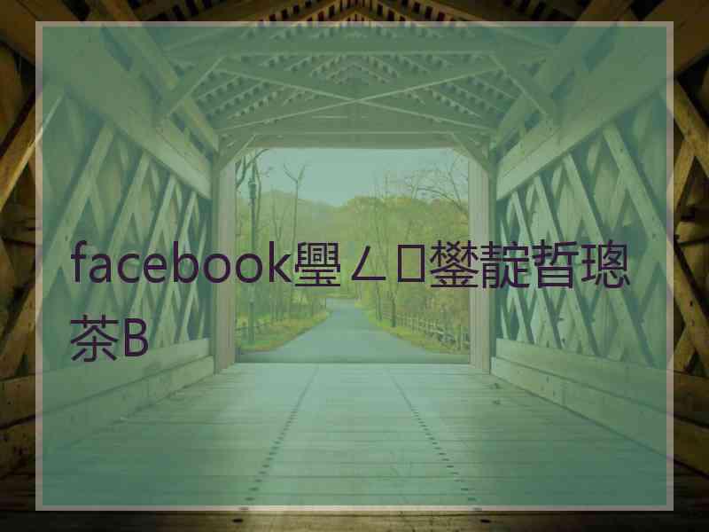 facebook璺ㄥ鐢靛晢璁茶В