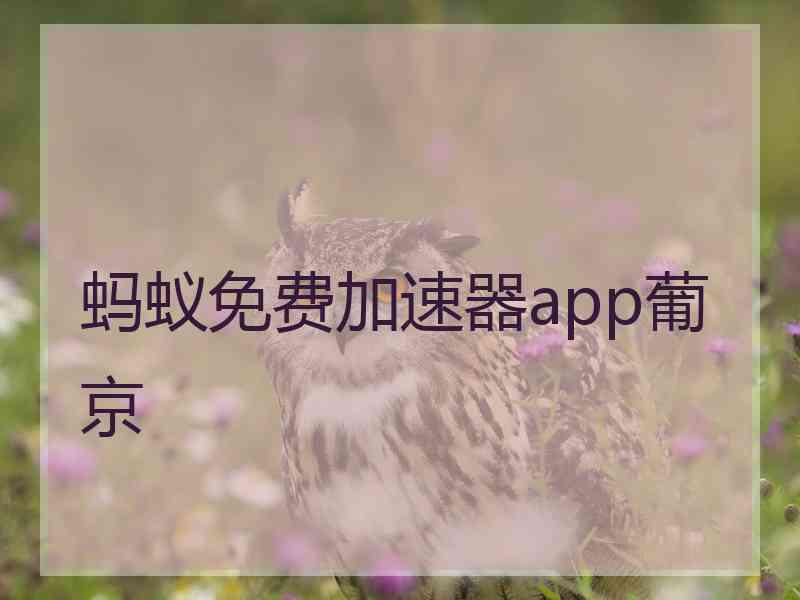 蚂蚁免费加速器app葡京