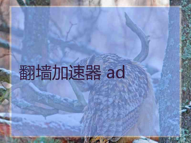 翻墙加速器 ad