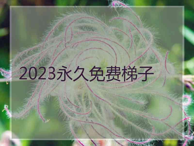 2023永久免费梯子