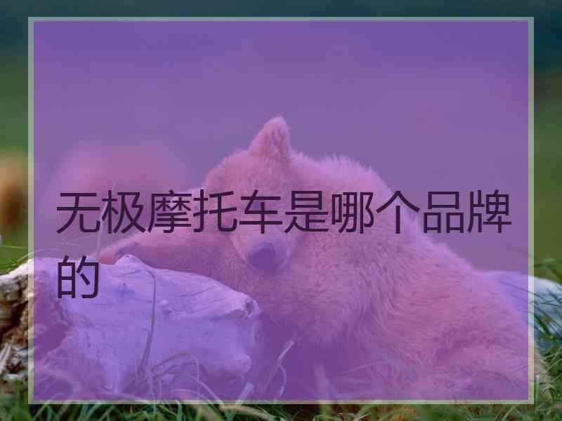 无极摩托车是哪个品牌的