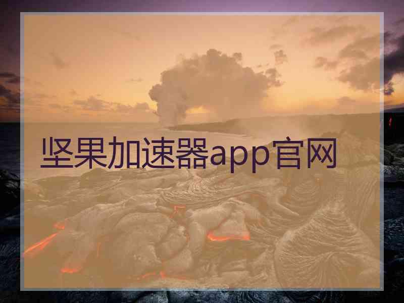 坚果加速器app官网