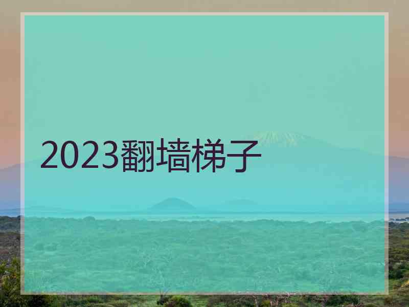 2023翻墙梯子