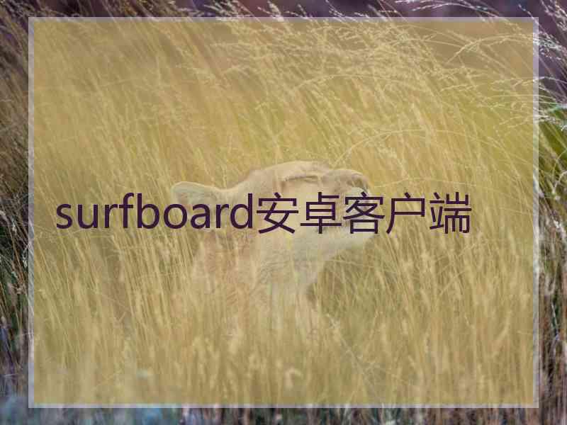 surfboard安卓客户端