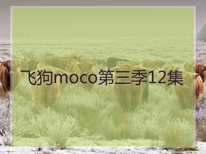 飞狗moco第三季12集