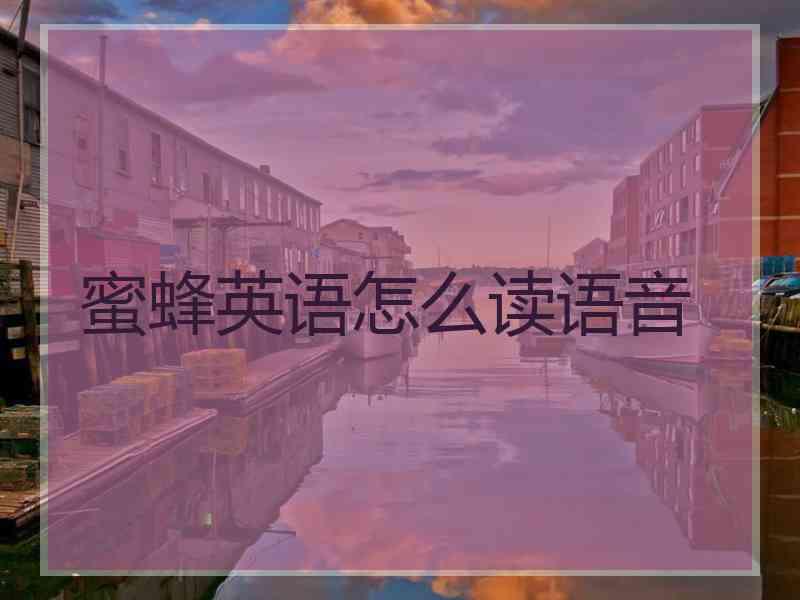 蜜蜂英语怎么读语音