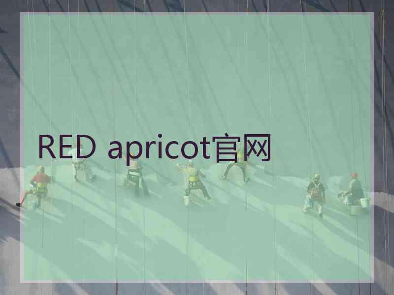 RED apricot官网